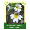 Eyebright Herb 50g