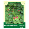 Wild Strawberry Leaves 50g