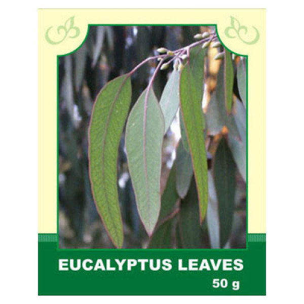 Eucalyptus Leaves 50g