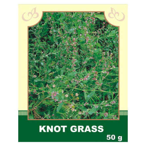 Knot Grass 50g