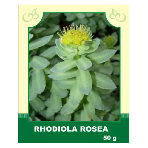 Rhodiola Rosea 50g