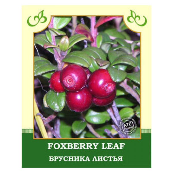 Foxberry Leaf 35g