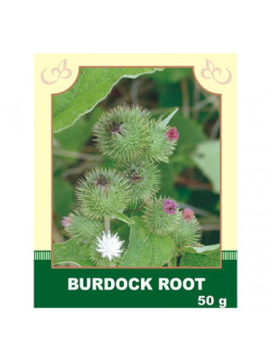 Burdock Root 50g