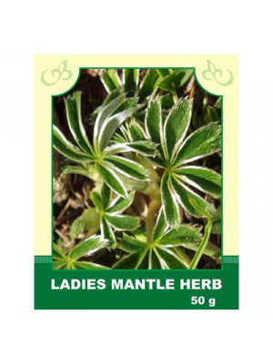 Ladies Mantle Herb 50g