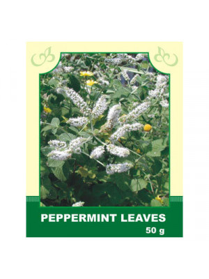 Peppermint Leaves 50g