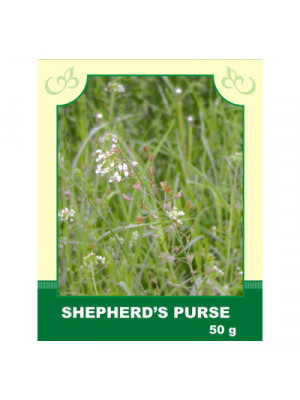 Shepherd's Purse 50g
