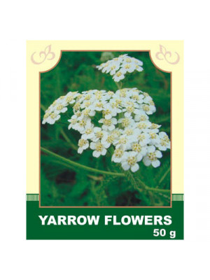 Yarrow Flowers 50g