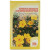 Shrubby Cinquefoil Herb and Flower 50g