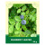 Bilberry Leaves 35g