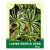 Ladies Mantle Herb 50g