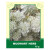 Mugwort Herb 75g
