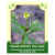 Imdian Kidney Tea Leaf (Ortthosiphon) 50g