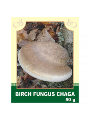 Birch Fungus Chaga 50g