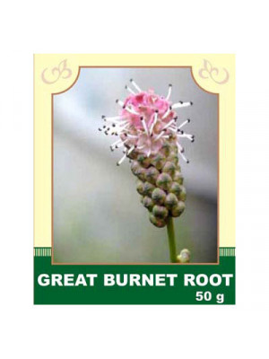 Great Burnet Root 50g