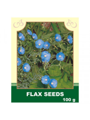 Flax Seeds 100g