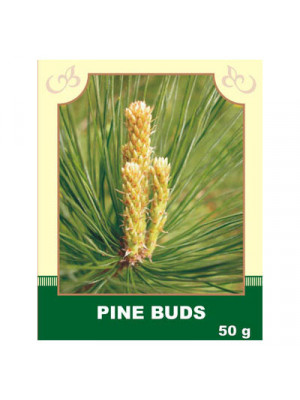 Pine Buds 50g