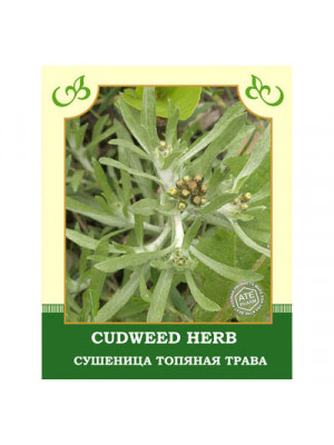 Cudweed Herb 35g