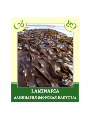Ламинария (морская капуста)
