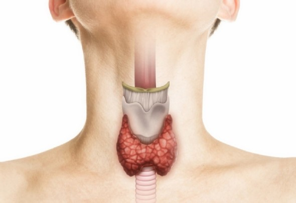 Symptoms of laryngitis
